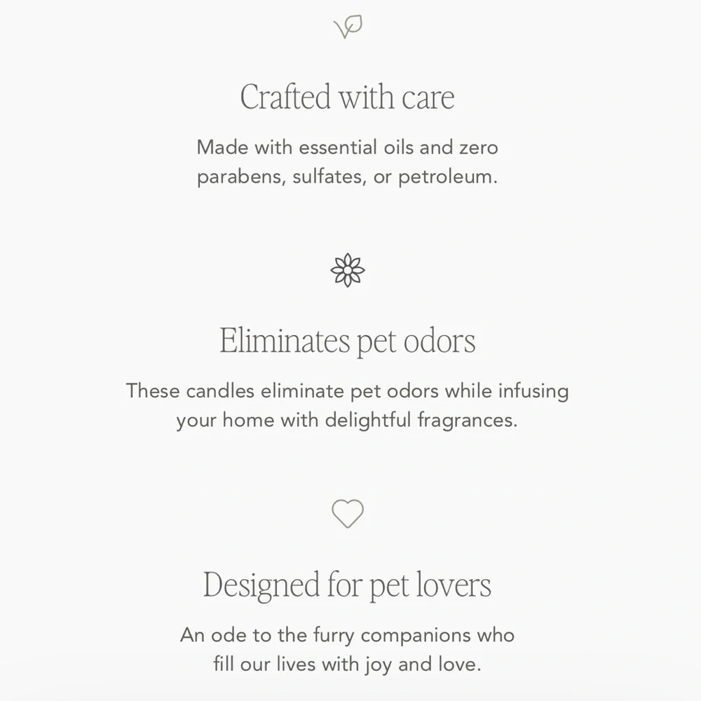 Sand + Paws Odor Neutralizing Scented Candle- Cedar and Lavender, 12oz, 2 Wick - Picture 10 of 11